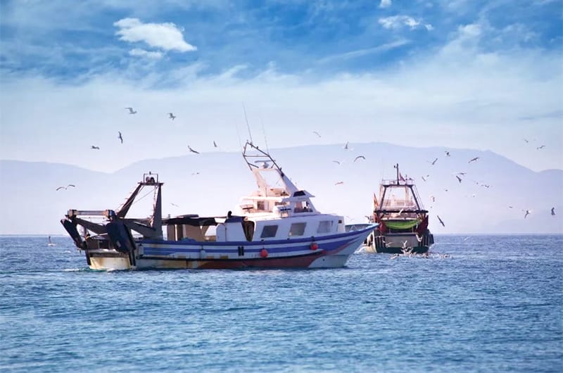 Fishery&Maritime safety-TouchThink IPC Manufacturing