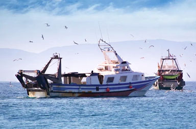 TouchThink Industrial All-in-one PC in Fishery Safety