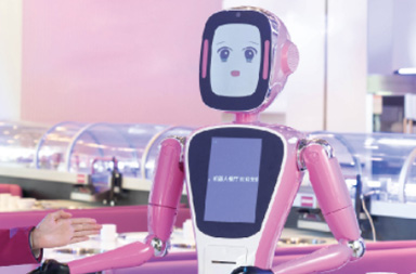 Service Robot